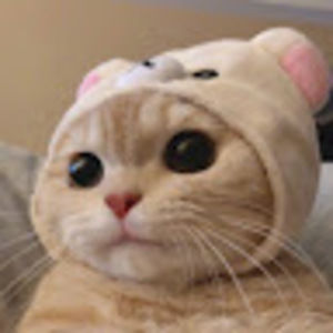 Meet your Posher, Dani